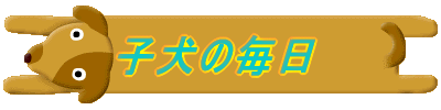 �q���̖���