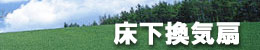 �i�L�j�T���A�C�������߂��鏰�����C��